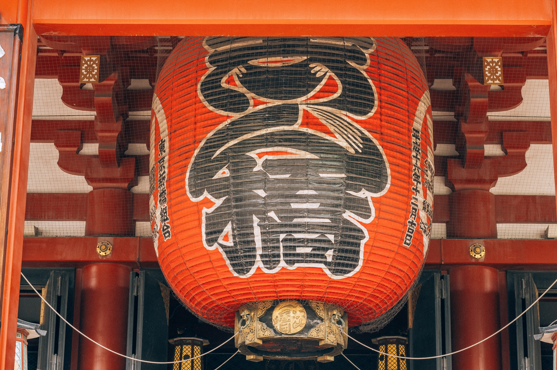 filiz-elaerts-YbSS51CK-WM-unsplash